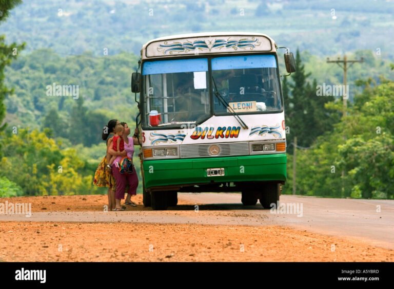autobus viajando en ruta argentina rural