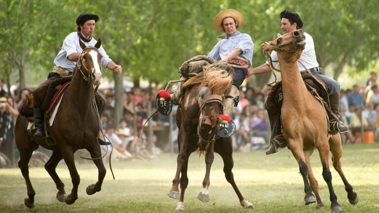 caballo gaucho jinete festival folklorico argentina