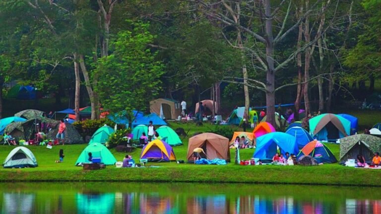 Cuáles son los servicios y precios del camping municipal Carlos Pellegrini