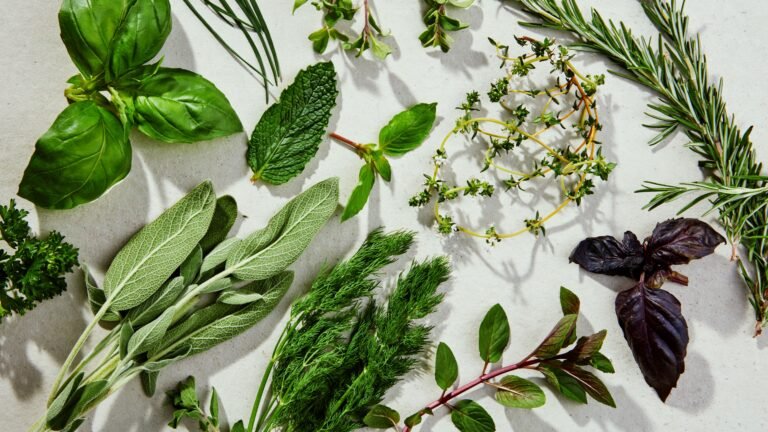 Qué Hierbas Naturales Contiene El Té La Virginia 28 hierbas naturales frescas con hojas y flores