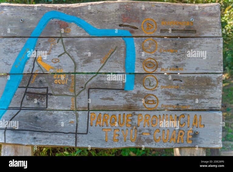 Cómo Consultar Multas y Monitoreo Vial en Misiones 24 Mapa vial de Misiones con señales tráfico