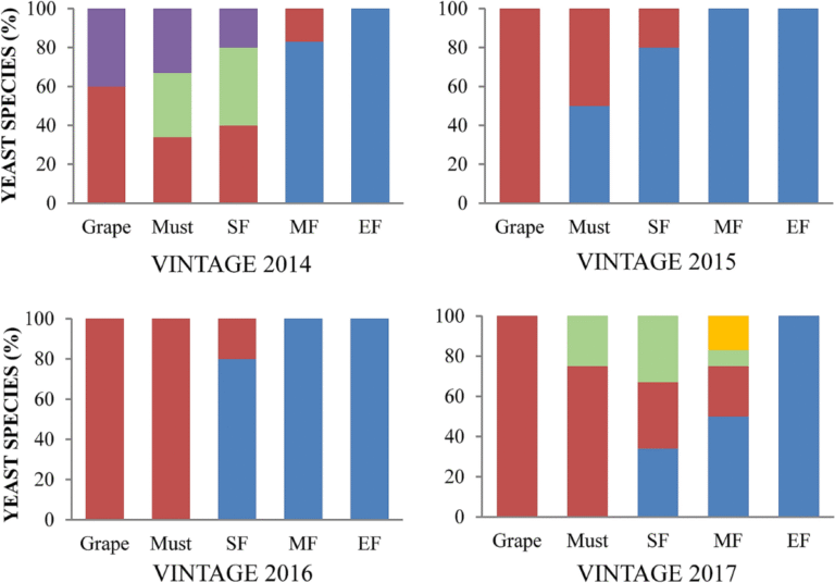 Qué año corresponde a la Patente B en Argentina 29 matriz de tipos de patentes argentinas vintage