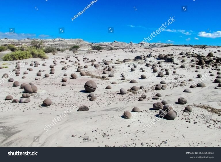 Qué es Campos de Roca II y dónde se encuentra en Argentina