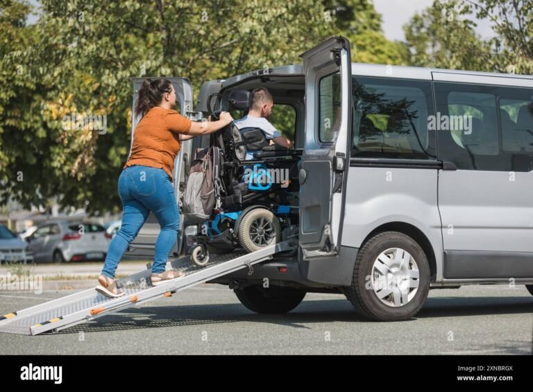 Cómo Gestionar Beneficios de AFIP para Autos de Personas Discapacitadas 7 Cómo Gestionar Beneficios de AFIP para Autos de Personas Discapacitadas