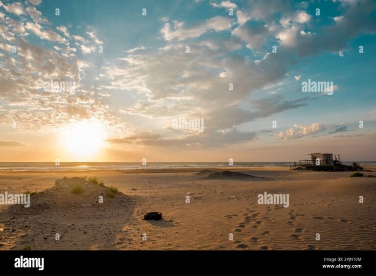 Cuáles Son Las Mejores Ofertas Del Día En Mar Del Plata