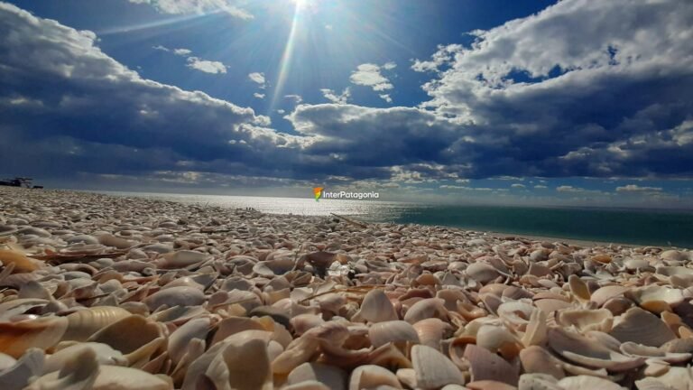 Qué Ofrece San Antonio Este en Río Negro para Visitar y Disfrutar