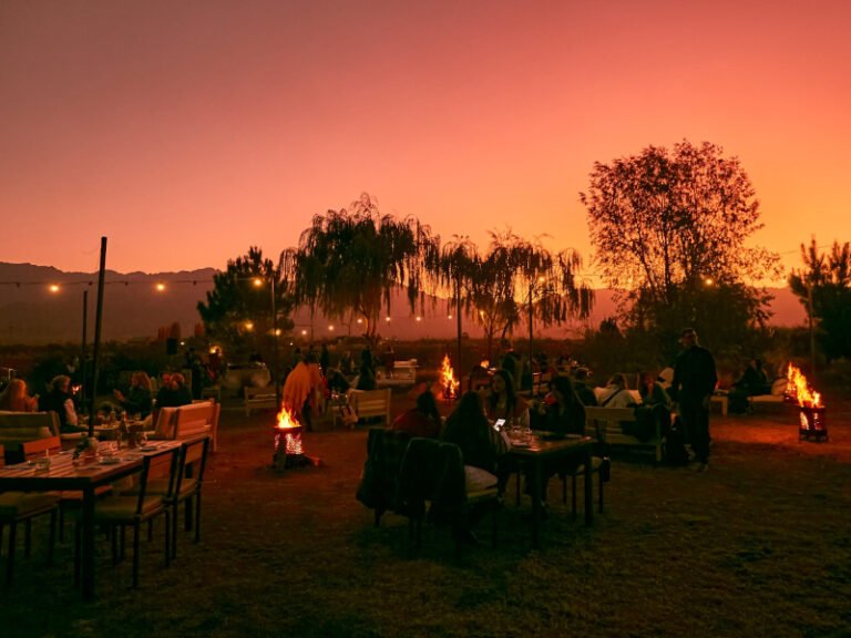 Por qué visitar la Bodega Catena Zapata en Mendoza 13 vinedos en mendoza al atardecer