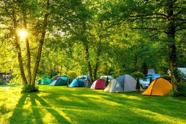 zona de camping con carpas y arboles verdes